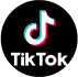 wiget tiktok